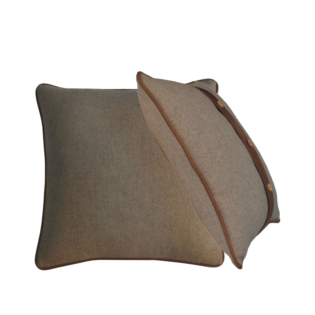 Quin Leather Sand Cushion Set of 2